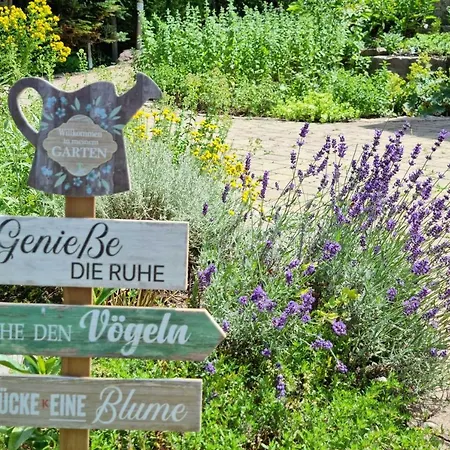 Silberkönig Schwarzwald Hotel&restaurant Ringhotel Gutach im Breisgau