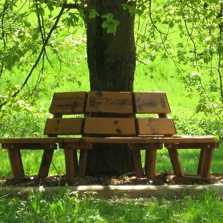 Hotel Silberkoenig Schwarzwald & Restaurant Ringhotel Gutach im Breisgau