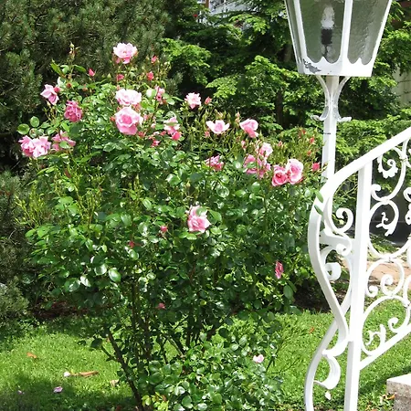 Отель Silberkoenig Schwarzwald & Restaurant Ringhotel Гутах-им-Брайсгау