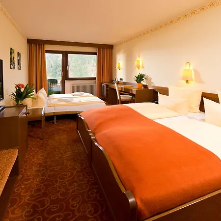 Silberkoenig Schwarzwald & Restaurant Ringhotel Hotel 4*