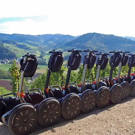 Silberkoenig Schwarzwald & Restaurant Ringhotel Hotel 4*