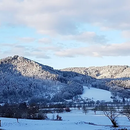 Silberkoenig Schwarzwald & Restaurant Ringhotel Отель