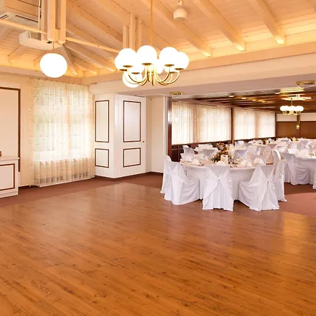 Silberkoenig Schwarzwald & Restaurant Ringhotel Gutach im Breisgau