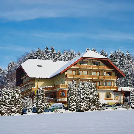 Silberkoenig Schwarzwald & Restaurant Ringhotel Гутах-им-Брайсгау