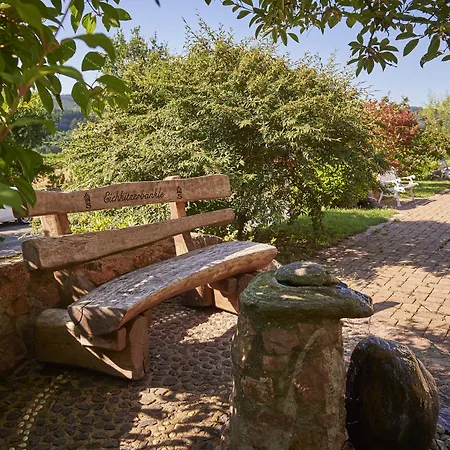 Отель Silberkoenig Schwarzwald & Restaurant Ringhotel 4*