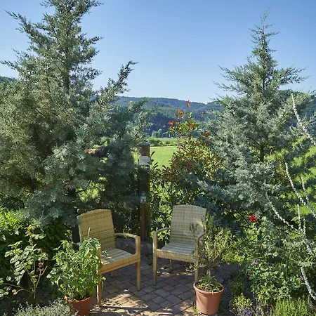 Silberkoenig Schwarzwald & Restaurant Ringhotel 4*