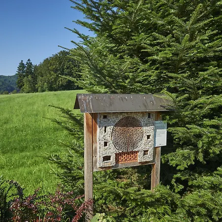 Silberkoenig Schwarzwald & Restaurant Ringhotel 4* Гутах-им-Брайсгау