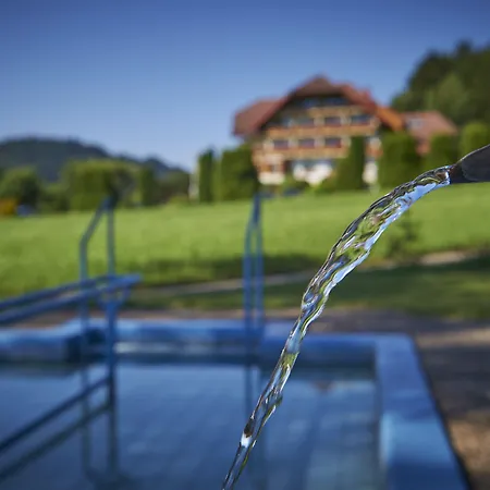 Silberkoenig Schwarzwald & Restaurant Ringhotel 4*