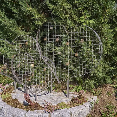 Отель Silberkoenig Schwarzwald & Restaurant Ringhotel