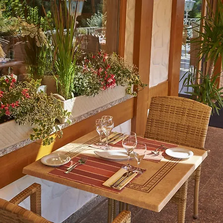 Silberkoenig Schwarzwald & Restaurant Ringhotel 4* Gutach im Breisgau