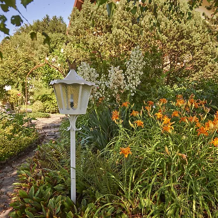 Silberkoenig Schwarzwald & Restaurant Ringhotel Отель 4*