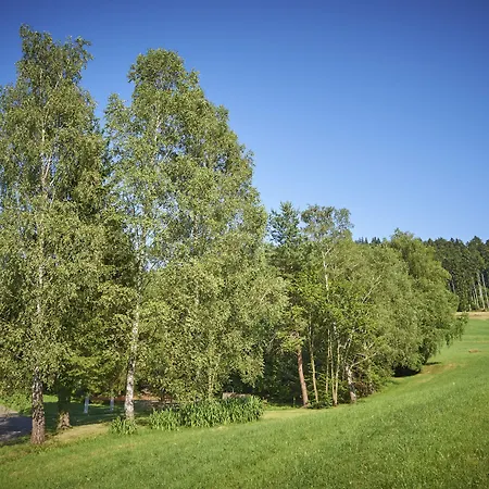 Silberkönig Schwarzwald Hotel&restaurant Ringhotel Gutach im Breisgau