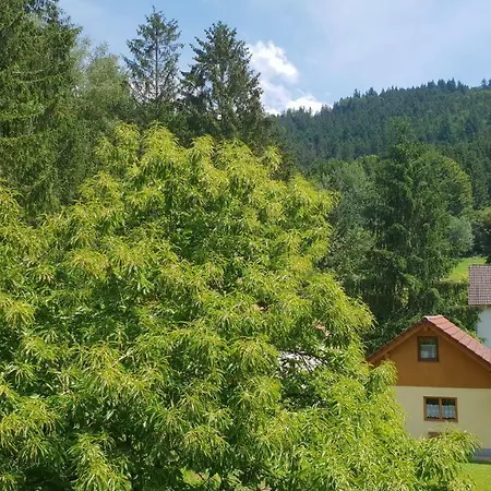 Silberkoenig Schwarzwald & Restaurant Ringhotel Отель Гутах-им-Брайсгау