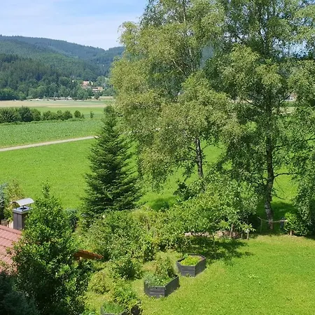 Silberkoenig Schwarzwald & Restaurant Ringhotel Hotel Gutach im Breisgau
