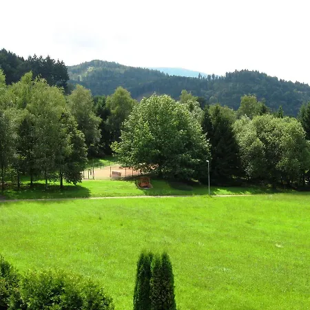 Отель Silberkoenig Schwarzwald & Restaurant Ringhotel